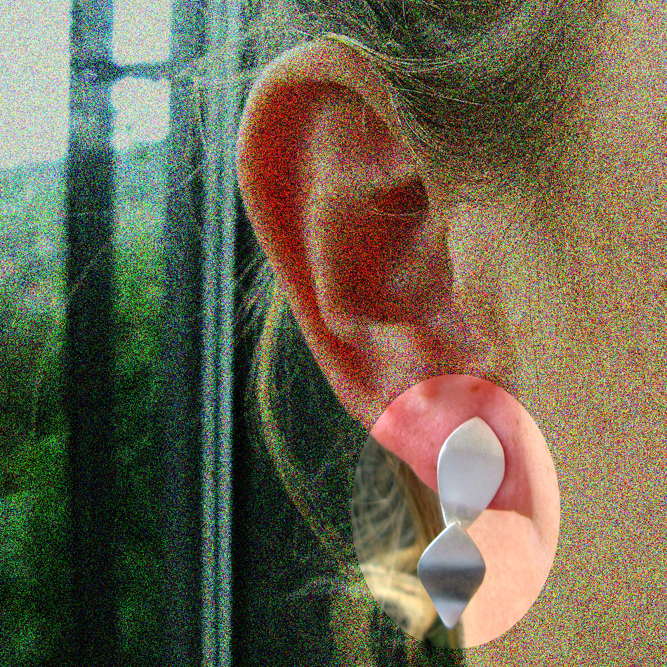 Zwei Blätter aus Silber