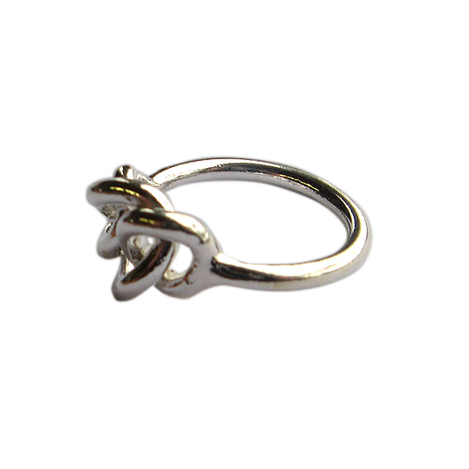 R 713 Ring aus massivem Silber