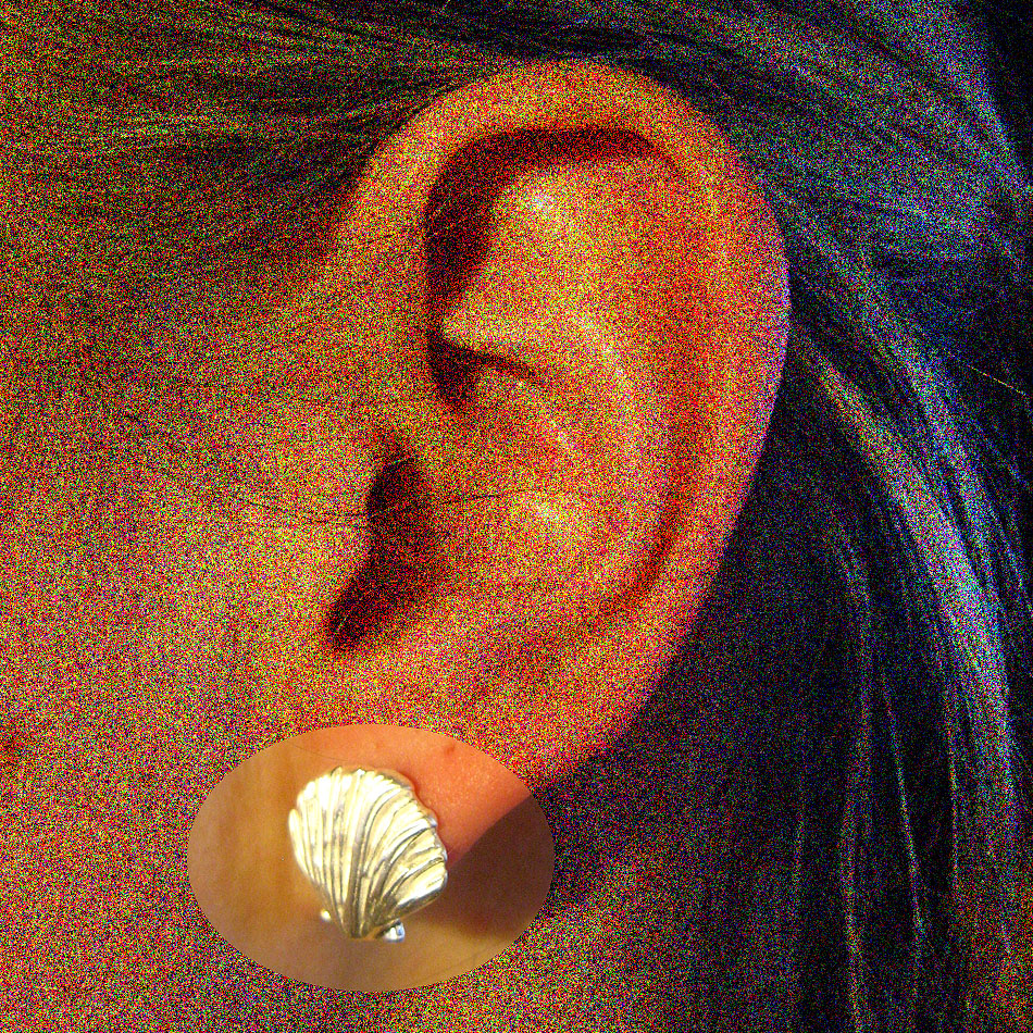 E 182  Muschelohrstecker