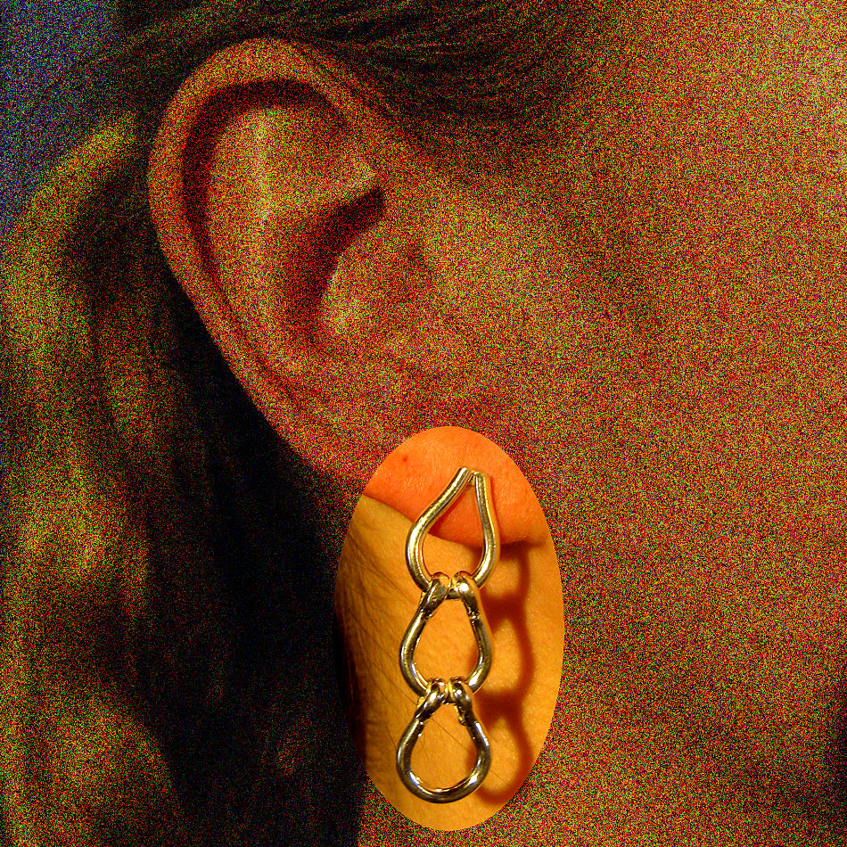 E 201  Gliederohrschmuck