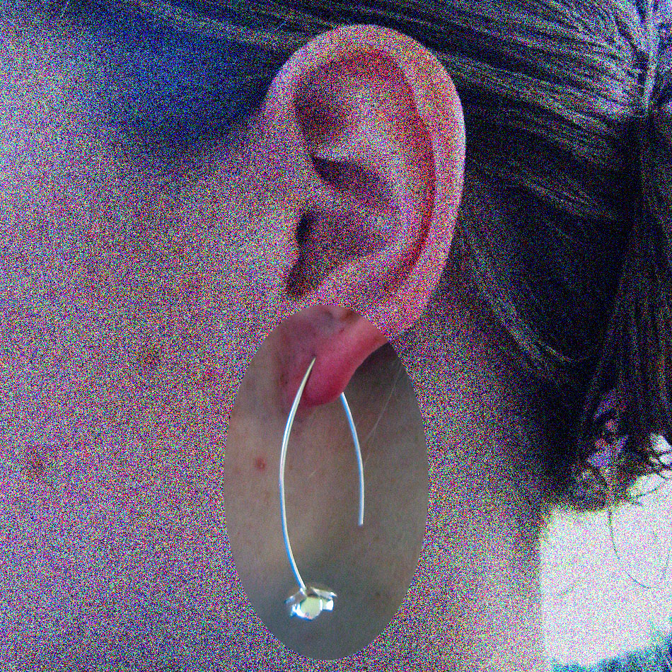 E 106  Blütenohrhänger