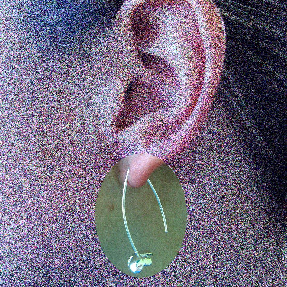 E 107  Blütenohrhänger