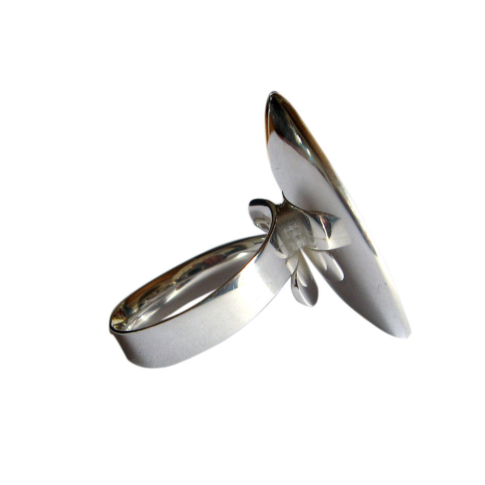 R 717   Parabolring, flexibel