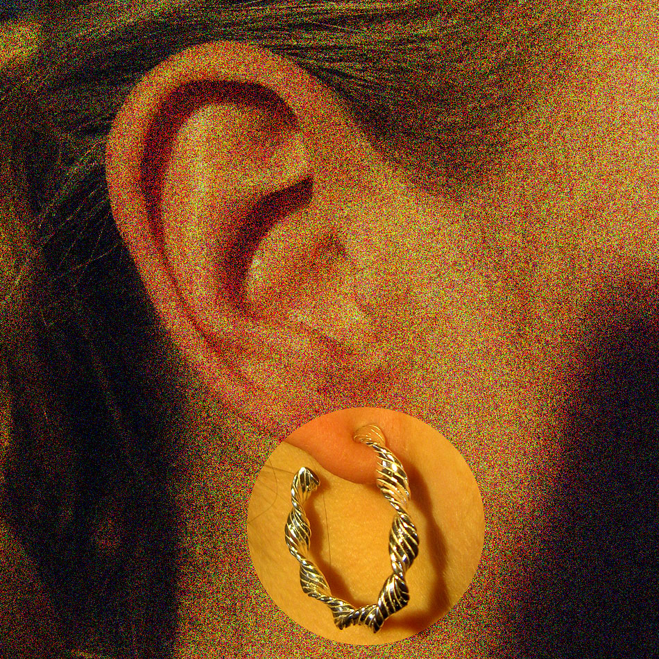 E 193  Silbercreole . gedreht