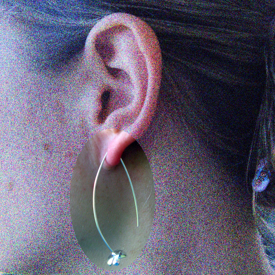 E 111  Blütenohrhänger