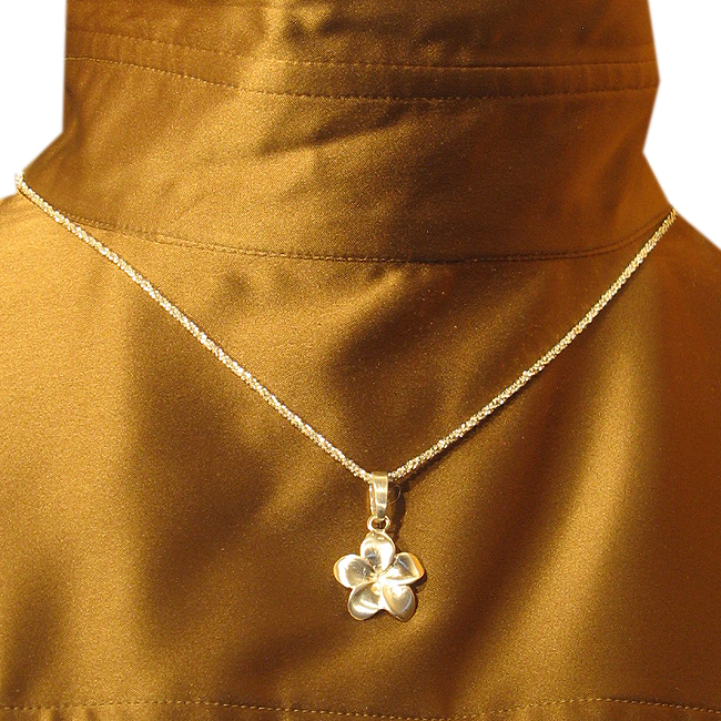 FrangiPangi Anhänger in Silber