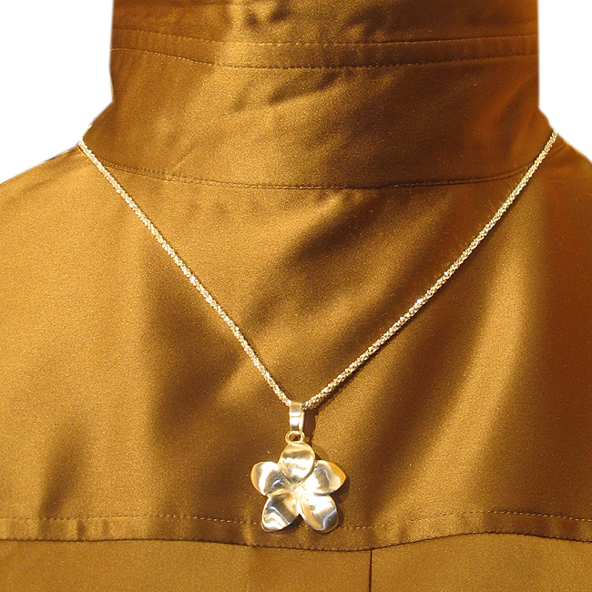 FrangiPangi Anhänger in Silber